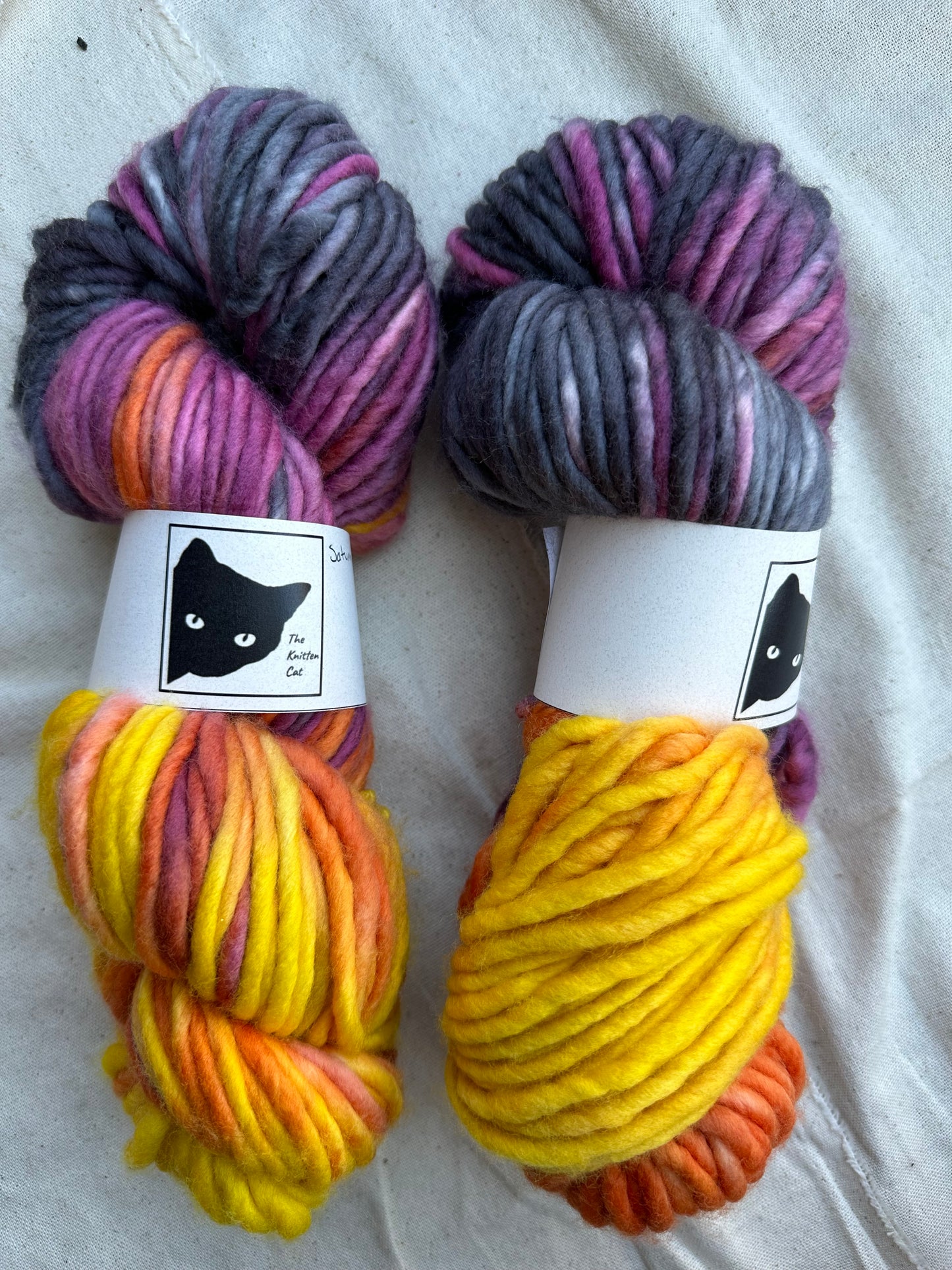 Chonky Cat Yarn - Saturn