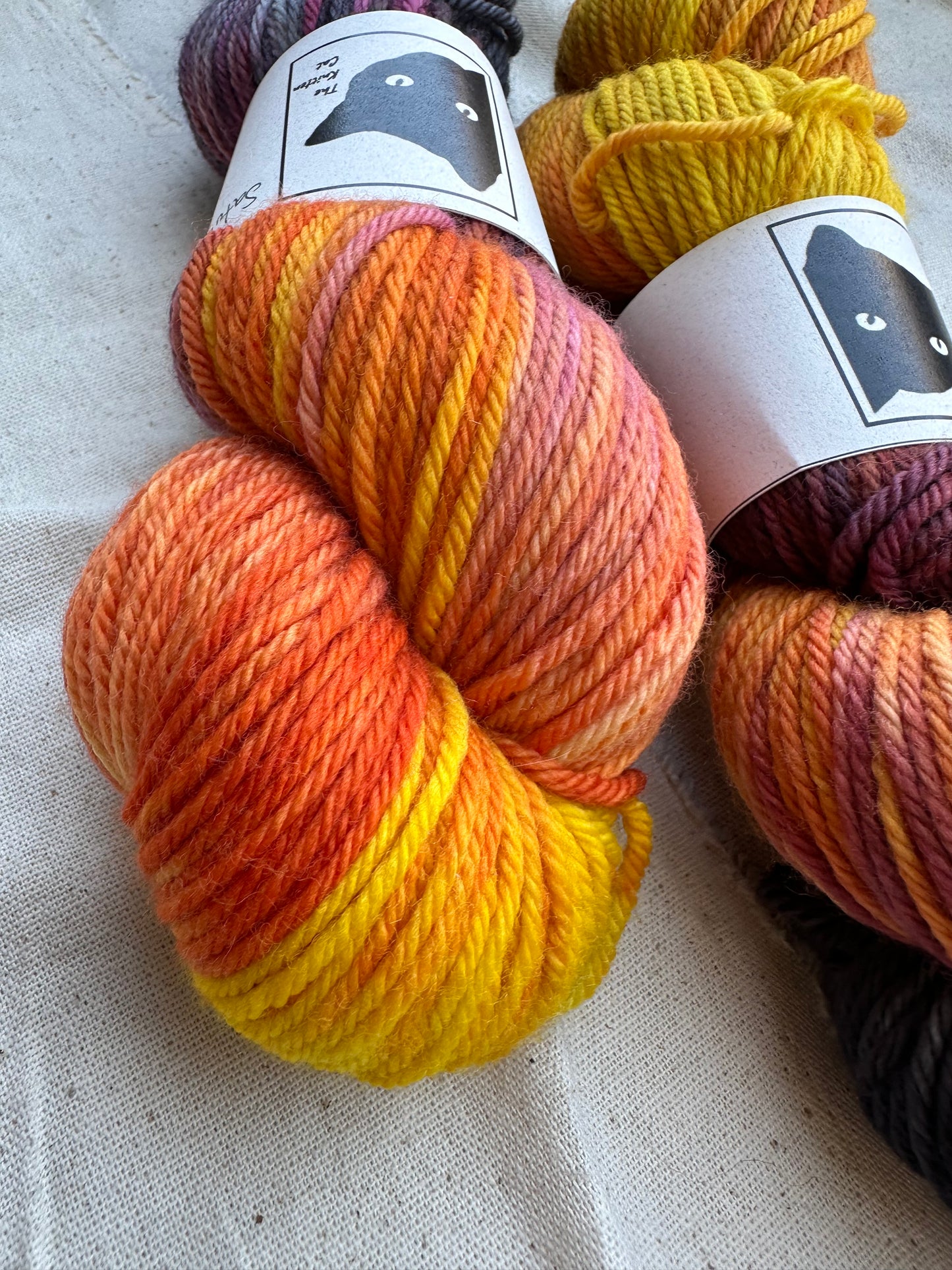 Chonky Cat Yarn - Saturn
